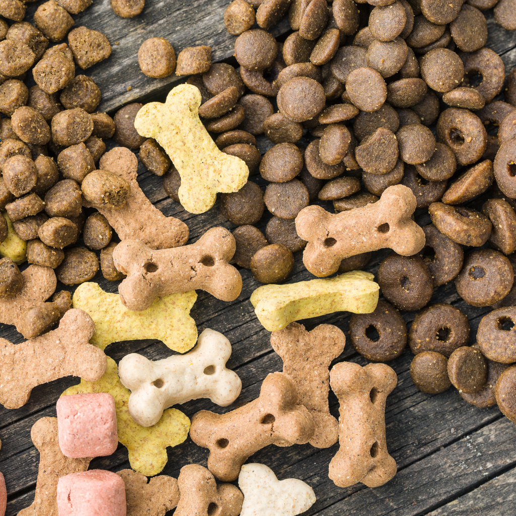 a pile of dog food