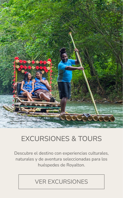 Excursions and tours available