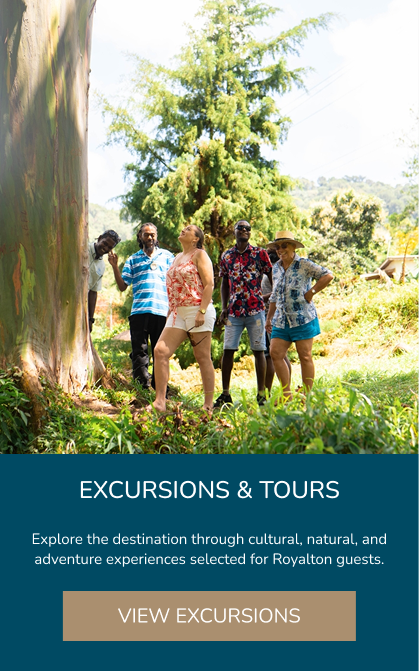 Excursions and tours available