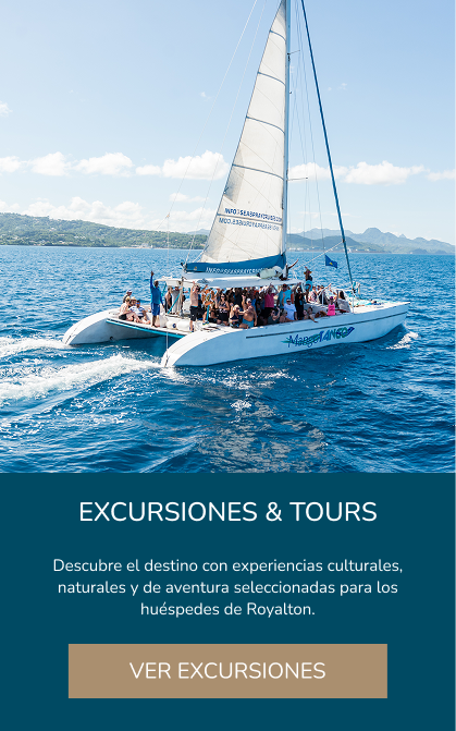 Excursions and tours available