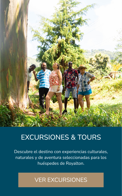 Excursions and tours available