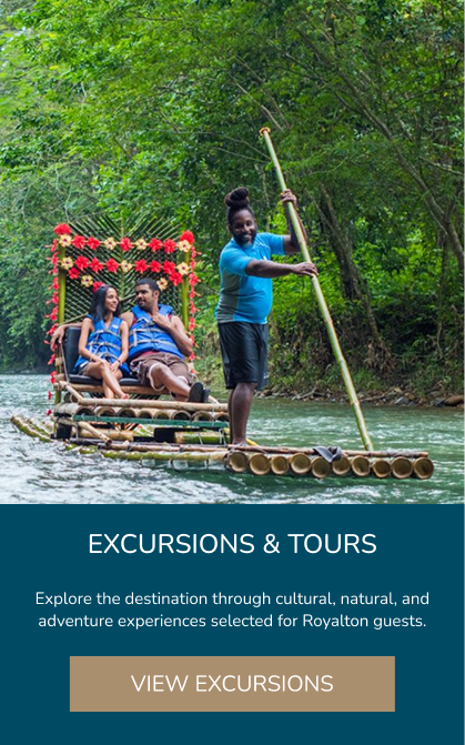 Excursions and tours