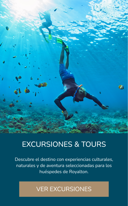 Excursions and tours available