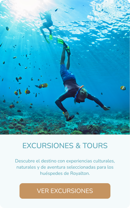Excursions and tours available