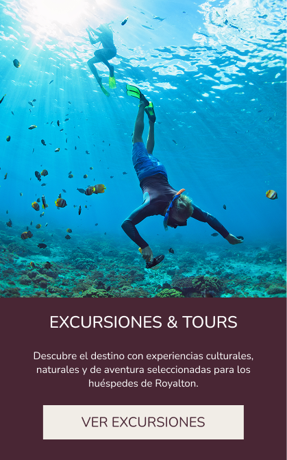 Excursions and tours available at Royalton Riviera Cancun