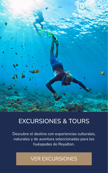 Excursions and tours available at Royalton Vessence