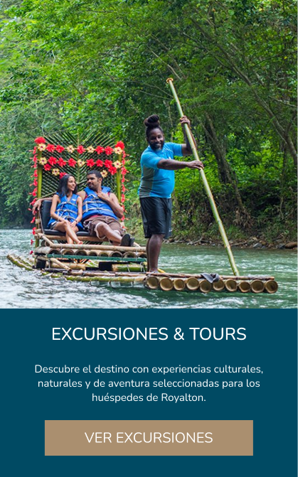 Excursions and tours