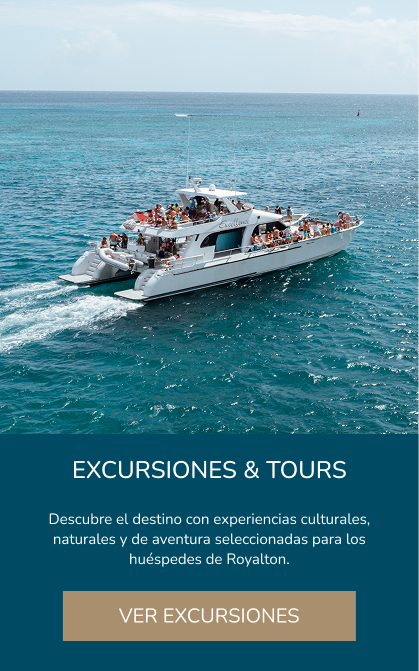 Excursions and tours available
