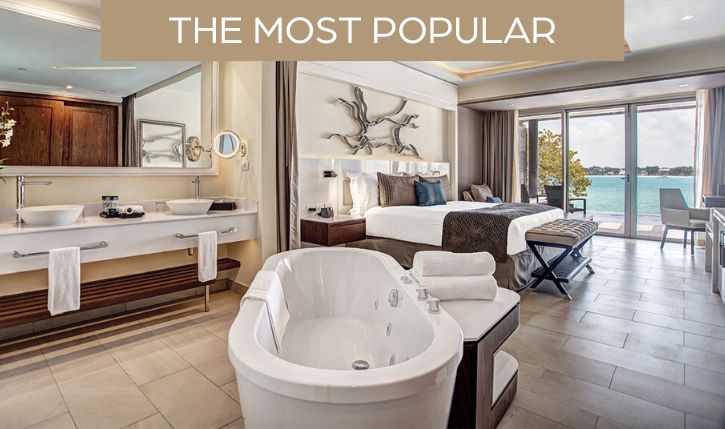 a room with a bathtub and a bed