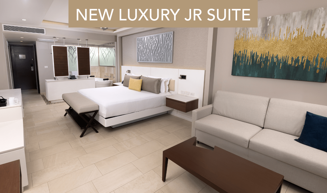 a room with a bed and a couch