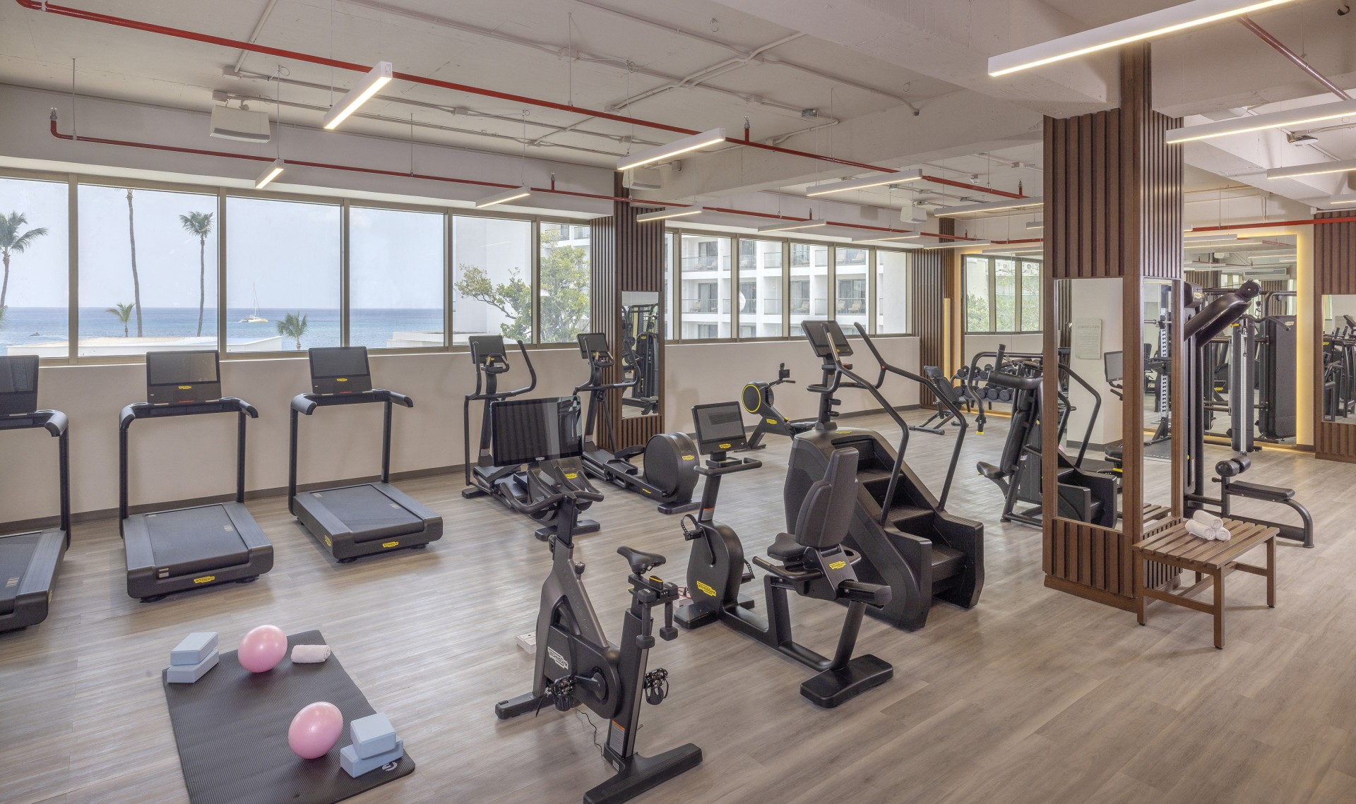 Moddo Fitness RVB