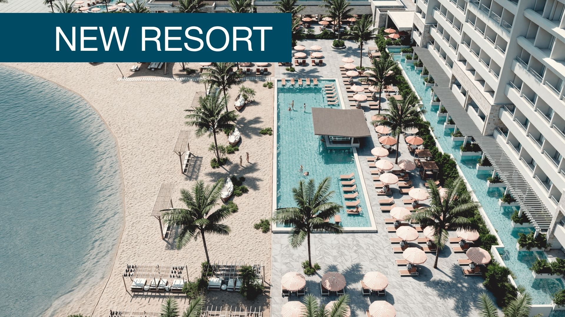 a swimming pool and palm trees