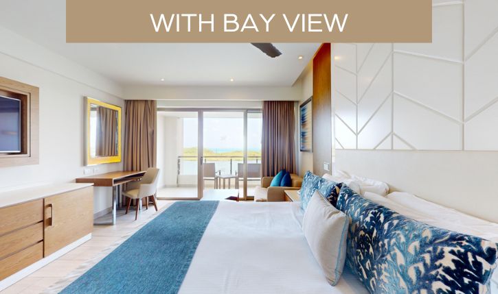a room with a bed and a television