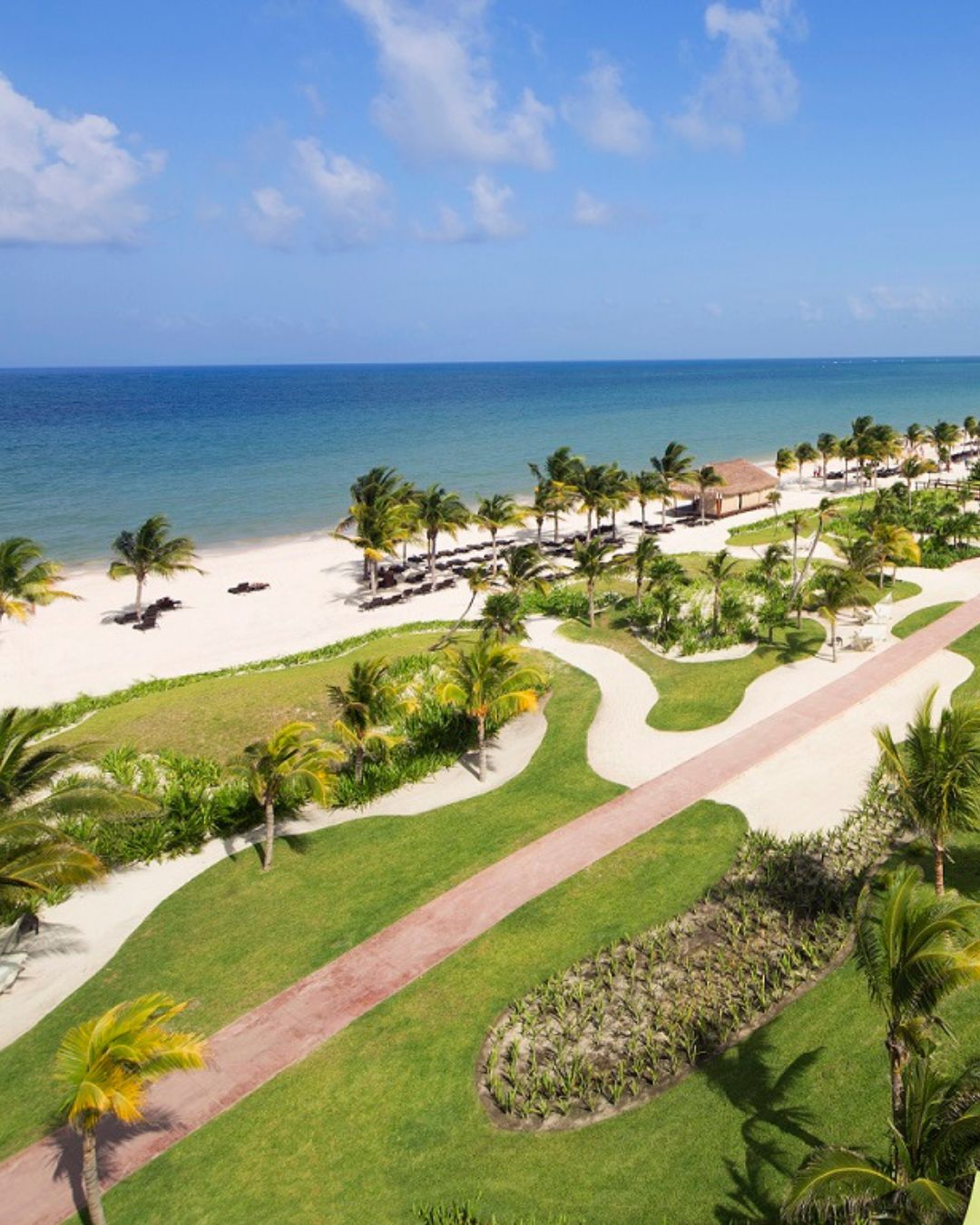 a beach with palm trees and a path