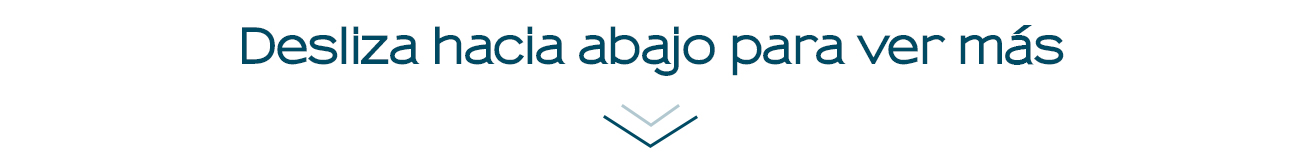 a close-up of a logo