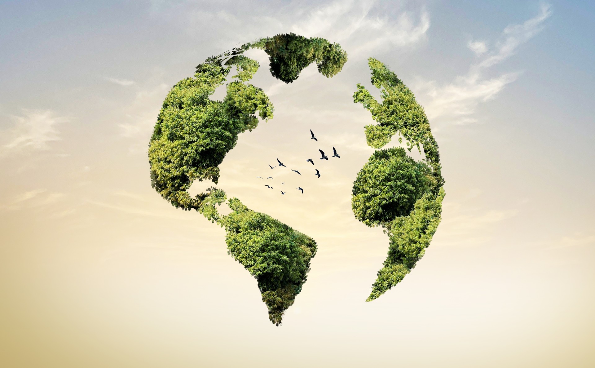 a tree shaped planet with birds flying in the sky