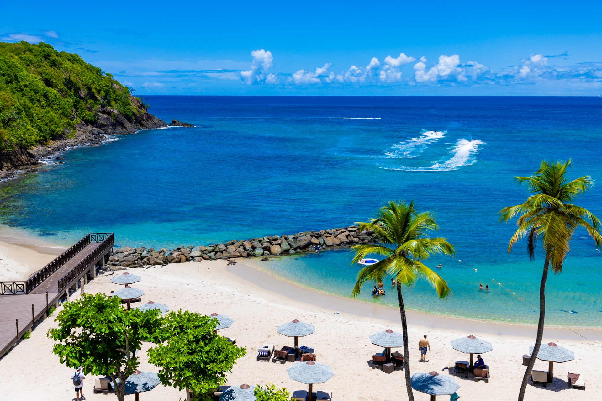 a beach with palm trees and a body of water