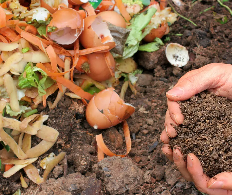 a person holding dirt in front of a pile of eggshells