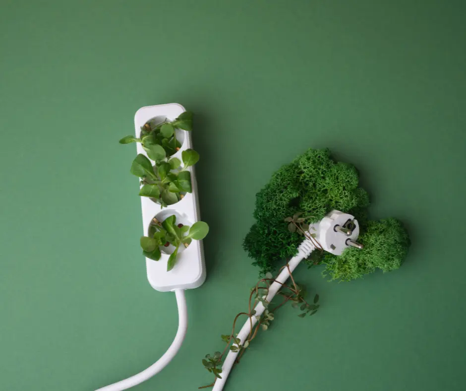 a power strip with plants growing out of it