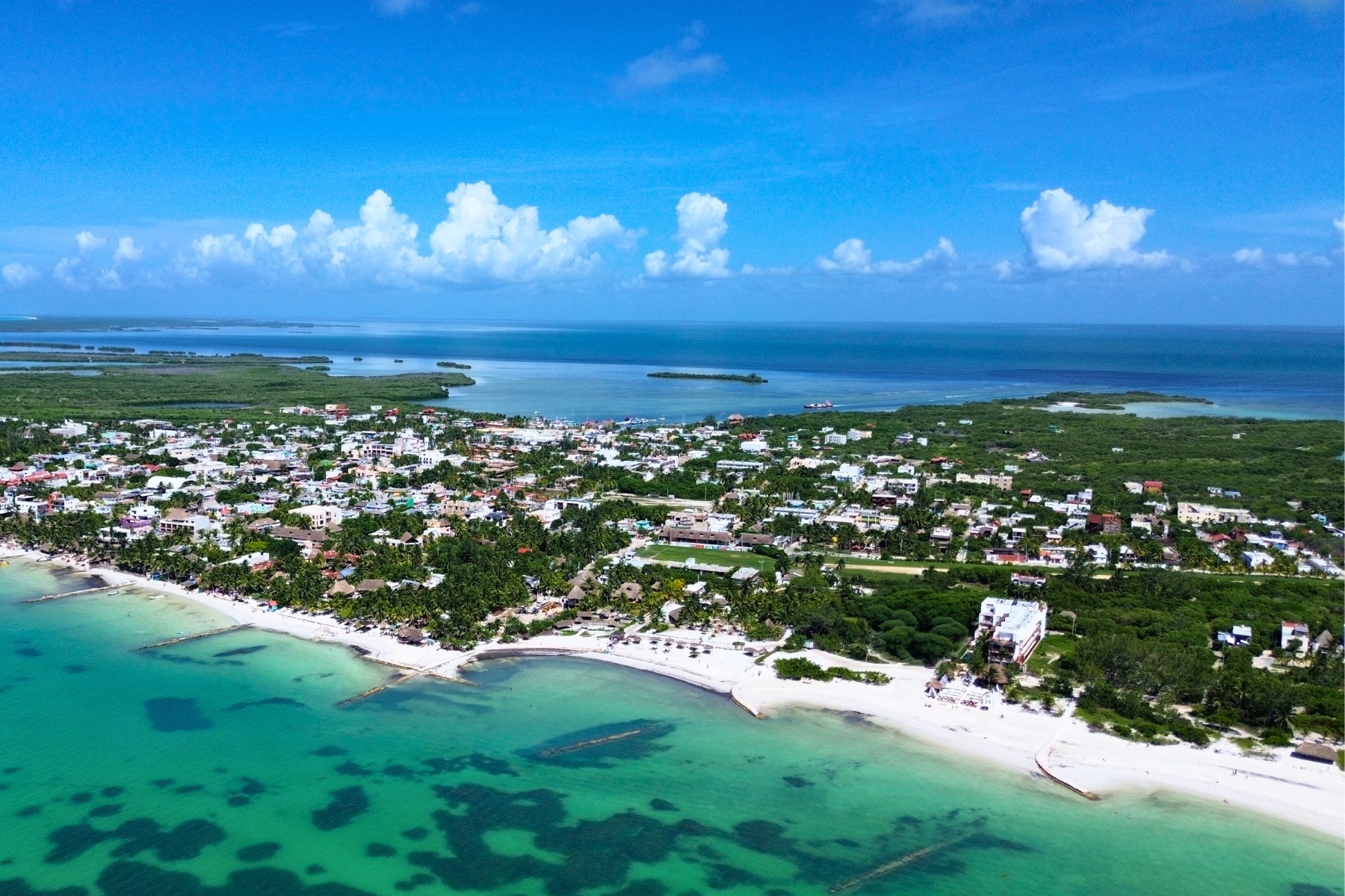 a aerial view of a beach with buildings and trees
