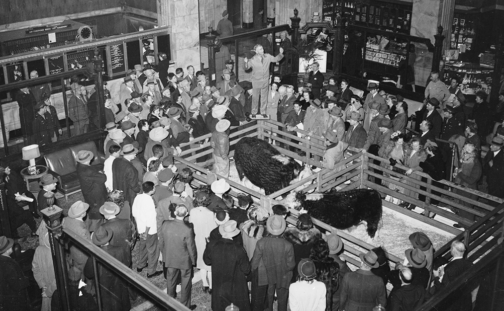 a group of people looking at a man standing on a cow