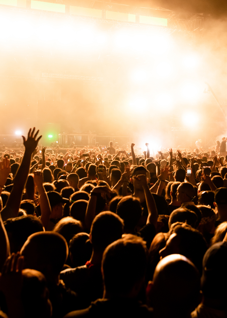 a large crowd of people at a concert