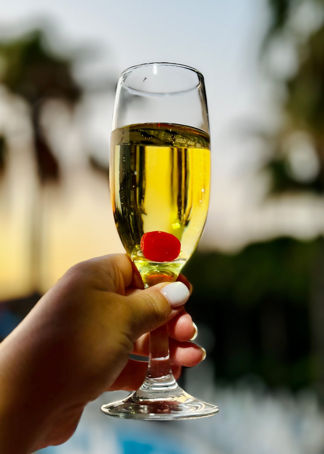 a hand holding a glass of champagne