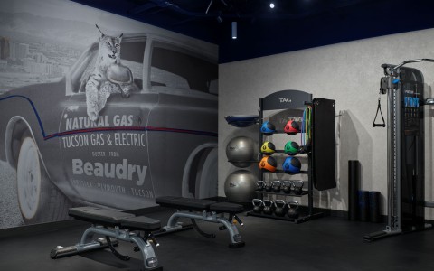 a gym with weights and a wall with a picture of a cat on the wall