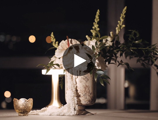theoaklander weddings miniature video