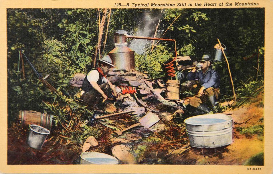 a group of men working in a forest