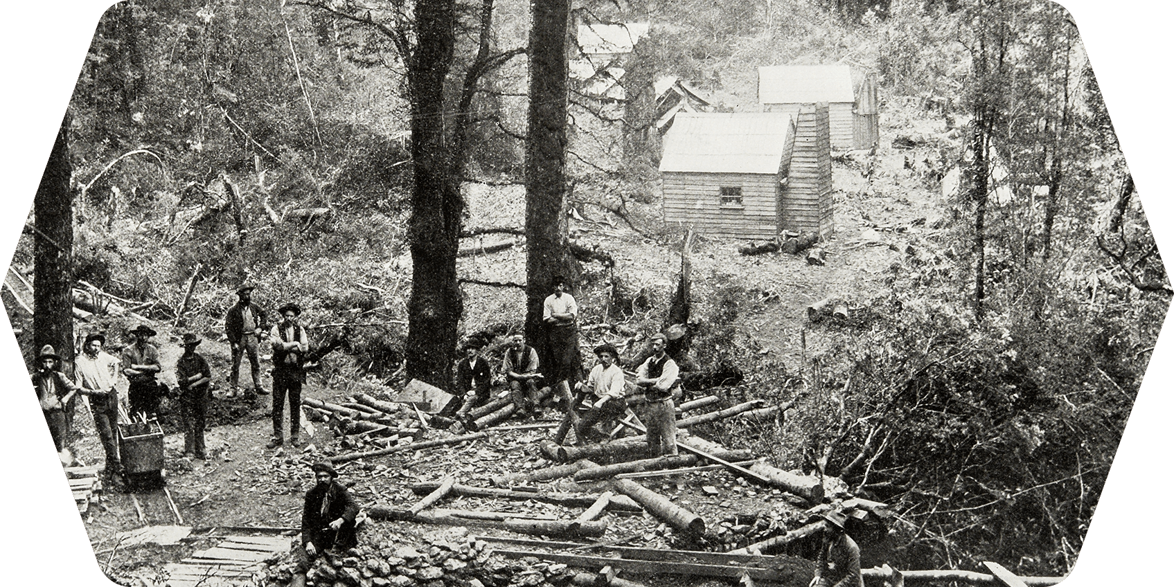 a group of men working in the woods