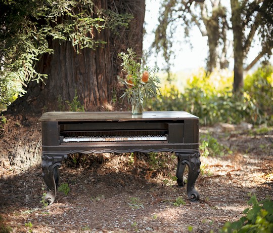 a bench with a vase of flowers