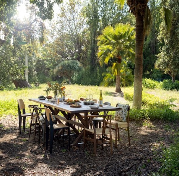 a table with food on it surrounded by trees