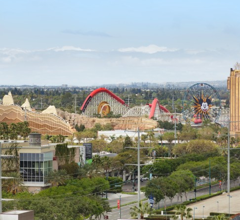 a city with trees and buildings