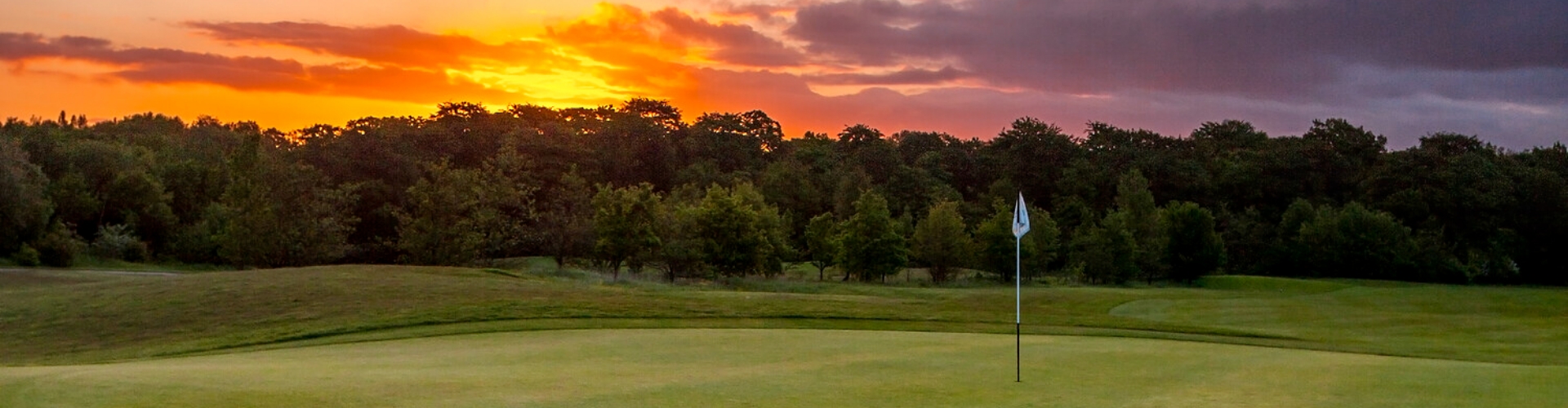 a golf course with trees in the background